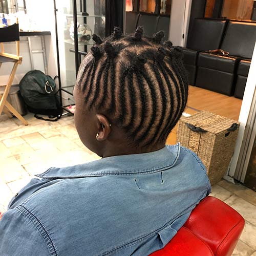 10. Small Braided Bantu Knots