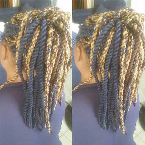 The High Ponytail Senegalese Twists
