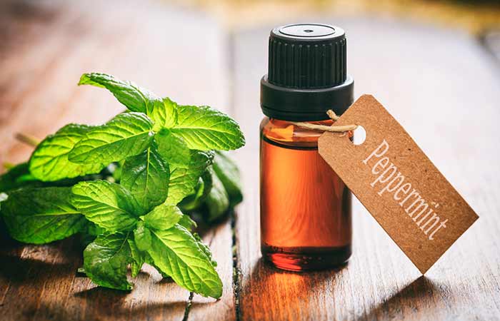 Peppermint Oil