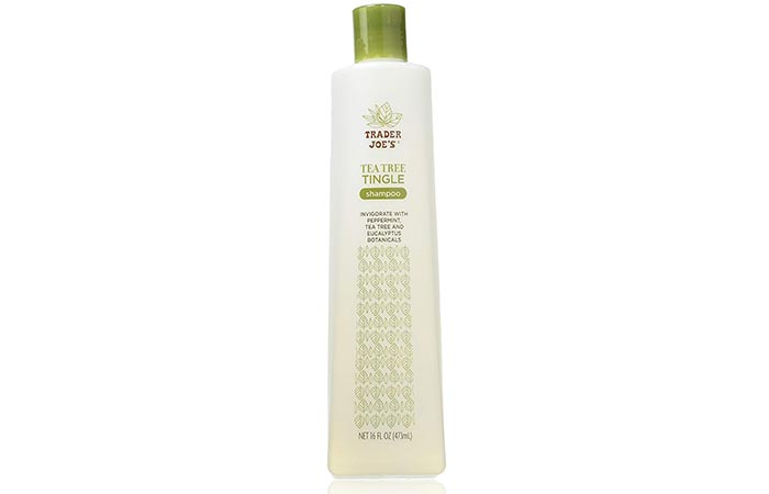 Trader Joe's Tea Tree Tingle Shampoo 